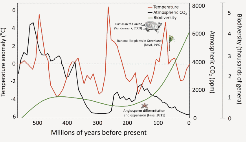Correlació temperatura - CO2