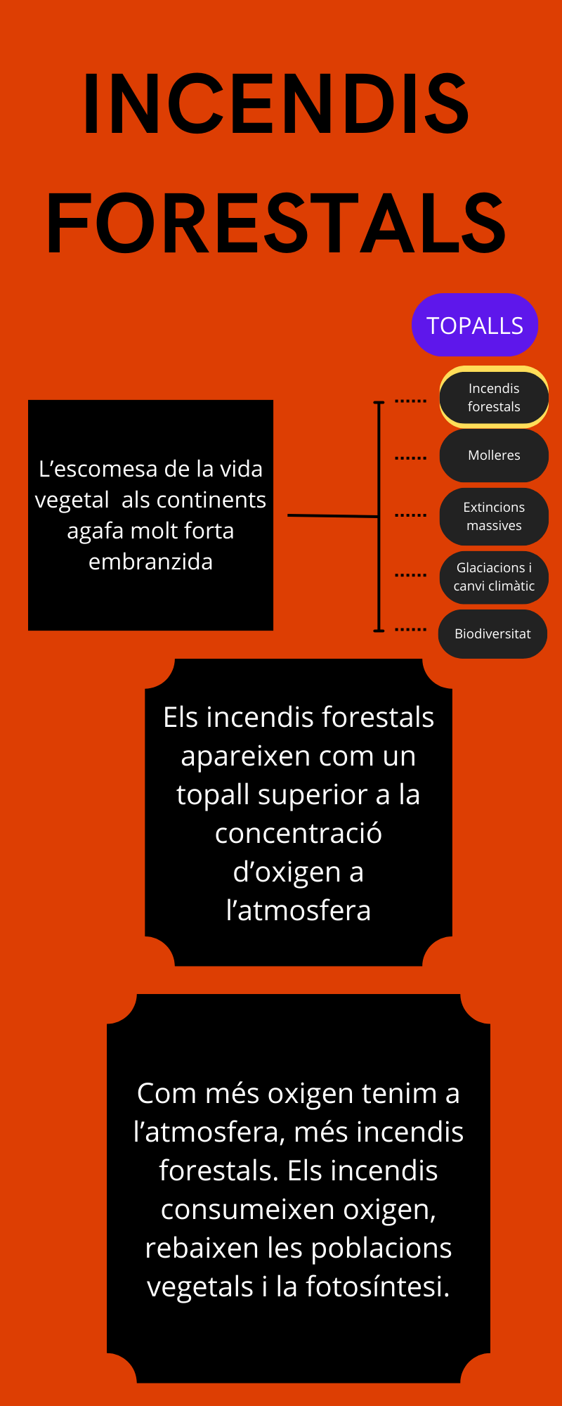 Incendis forestals - Infografia