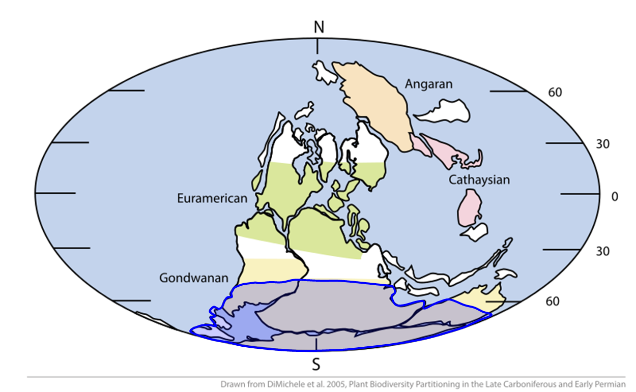 Extensió de la glaciació carbonífera