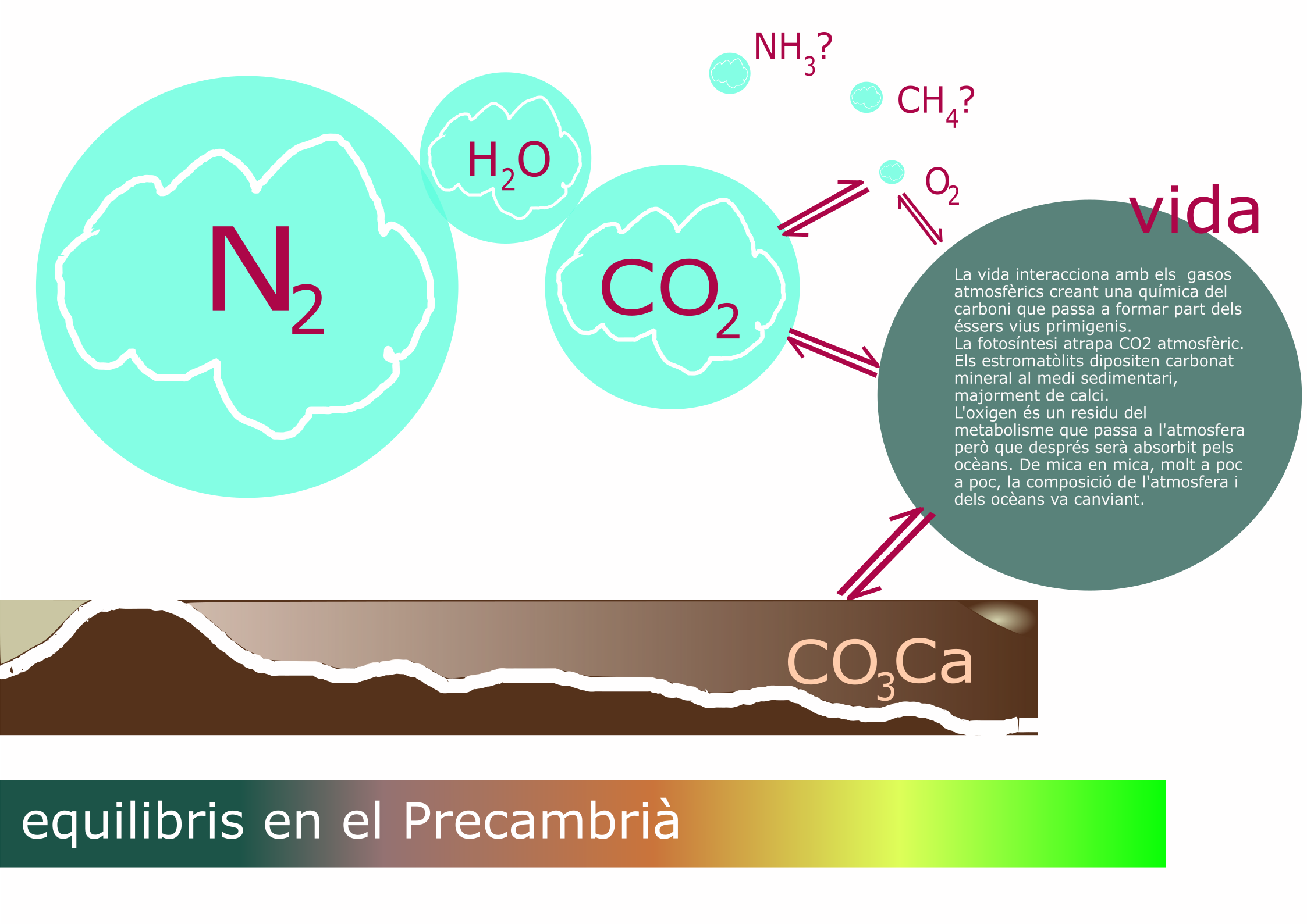 Equilibris primigenis