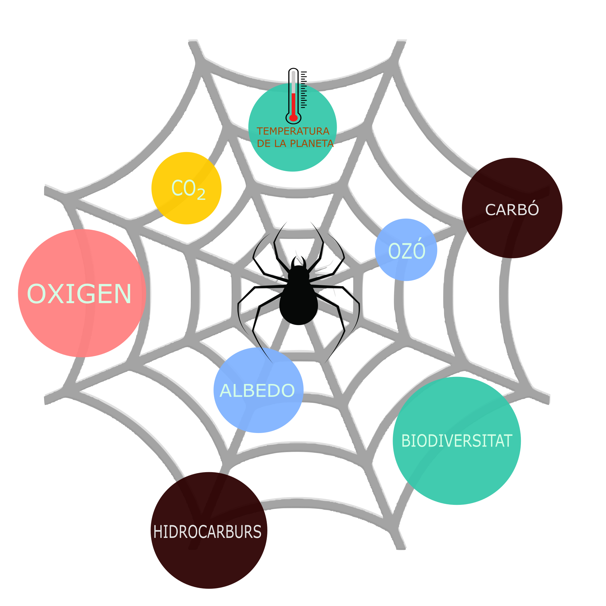 Gràfica de teranyina de complexitat
