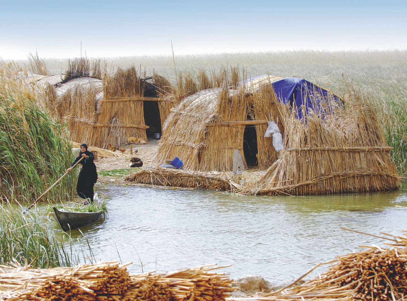 Marshes' arabs in Mesopotamia