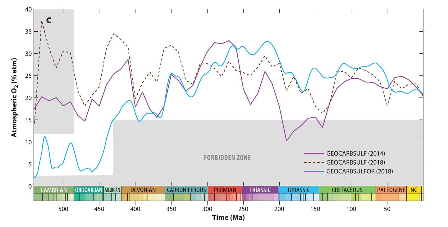 oxigen en el fanerozoic